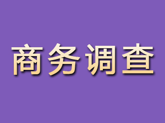 独山商务调查